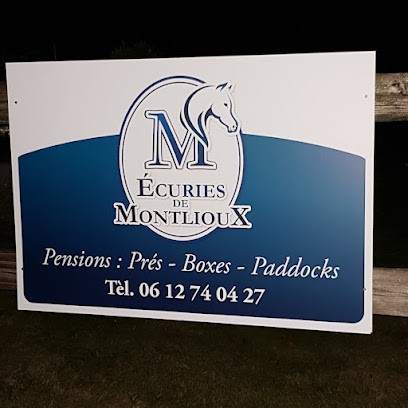 Ecurie de montlioux, Pension pour Chevaux à Champfleur