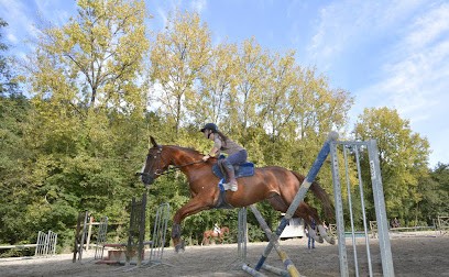 Equestrian Club De L'elorn, Centre Equestres à La Forest-Landerneau