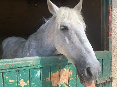 Equestrian Center Des Vieilles Ventes, Centre Equestres à Sorel-Moussel