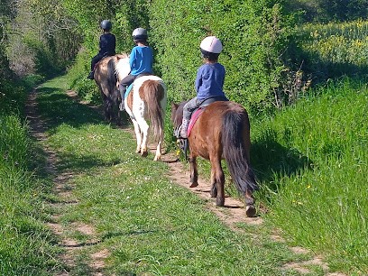 Poney Club : Les Poneys Des Brumes, Centre Equestres à Ségrie