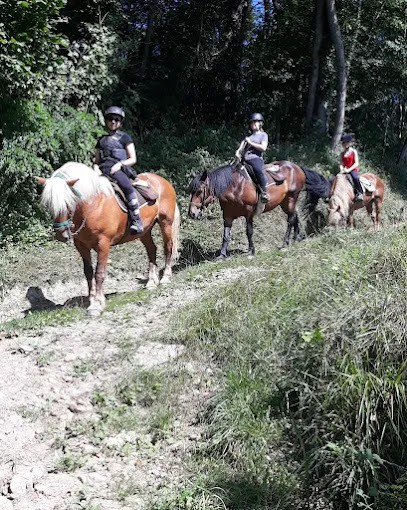 Association Equi'Libre, Centre Equestres à Rimont