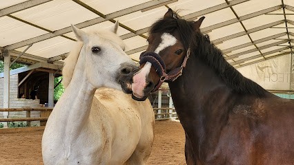 Poney Club Du Bois De Verrieres, Centre Equestres à Verrières-le-Buisson