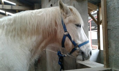 Balay Soler Marie Francoise, Centre Equestres à Taponas