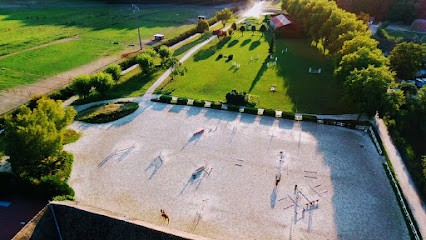 Écurie Et élevage Levaillant, Centre Equestres à Maintenon