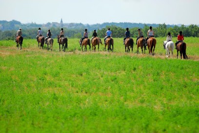 Equestrian Field De Lauzerte, Centre Equestres à Lauzerte