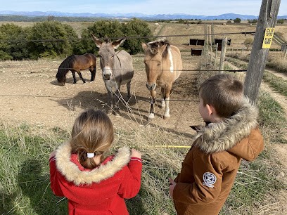 Equestrian Center De Valensole, Centre Equestres à Valensole