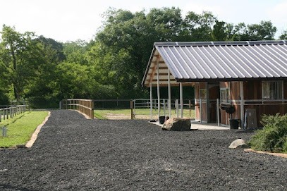 Kt Horses, Centre Equestres à Saint-Martin-en-Bière