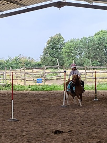 Les Écuries Du Vignoble, Pension pour Chevaux à Restigné