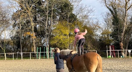 Écurie Larivière, Centre Equestres à Pexiora