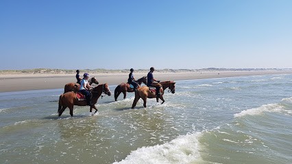 To Sabots De Vent Earl, Centre Equestres à Chuffilly-Roche