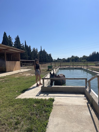 Domaine Les Figuiers, Pension pour Chevaux à Pézilla-la-Rivière