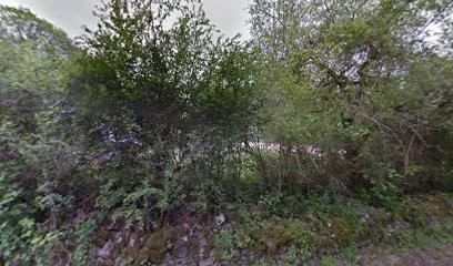 Écurie Pierre de Lune, Centre Equestres à Sainte-Marie-sur-Ouche