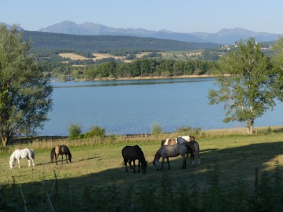 Centre Equestre Léran, Centre Equestres à Léran