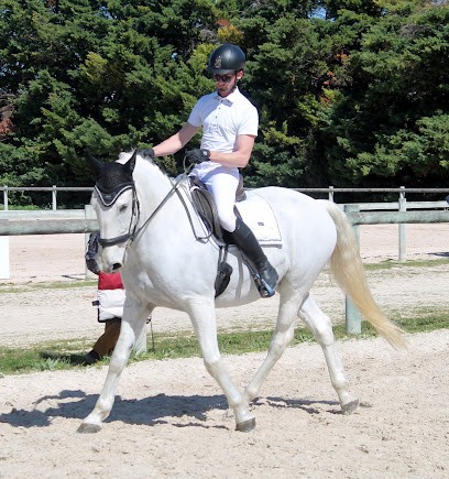 L' écurie verte, Pension pour Chevaux à Manduel