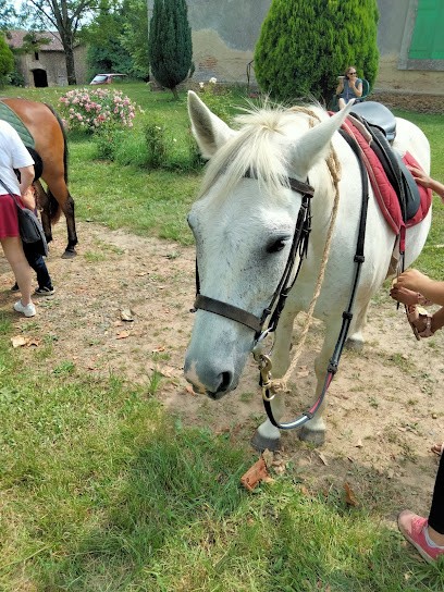 Cavaliers De Benquet, Centre Equestres au Houga