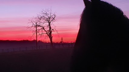 L'écurie De Fiona, Centre Equestres à Saint-Georges-Buttavent