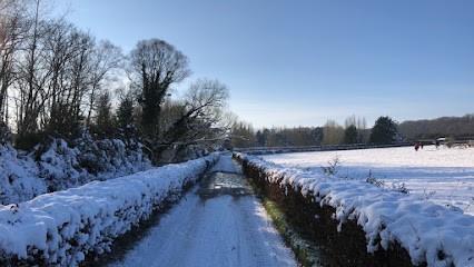 HARAS DES SABLES, Pension pour Chevaux à Longvilliers