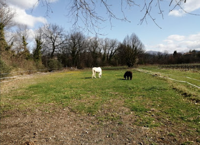 Aux Prés Des Naïs Pension Chevaux, Pension Pour Chevaux à Mollans-sur-Ouvèze