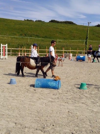 CENTRE EQUESTRE DE ST PAIR SUR MER, Centre Equestres à Saint-Pair-sur-Mer