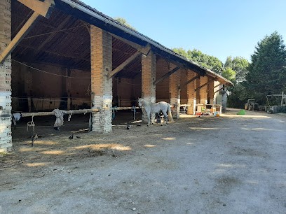 Sans Genevieve, Centre Equestres à Pexiora