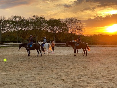 Poneydebresse, Centre Equestres à Mantenay-Montlin