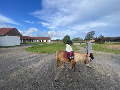 Les Ecuries De La Caracole, Pension pour Chevaux à Louches