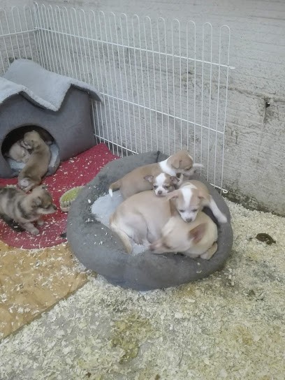Écurie Jlf, Centre Equestres à Dommartin-lès-Cuiseaux