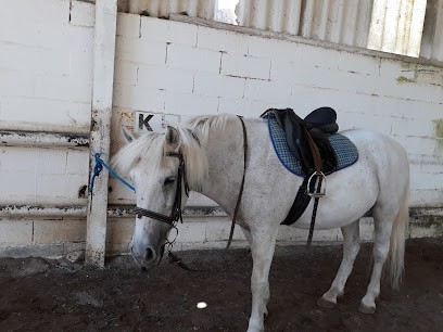 Equestrian Center De Ginestas, Centre Equestres à Ginestas