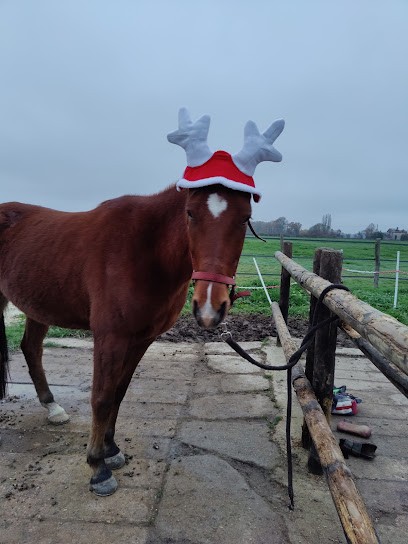Pony Club Du Champ Brûlé, Centre Equestres à La Ferté-Vidame