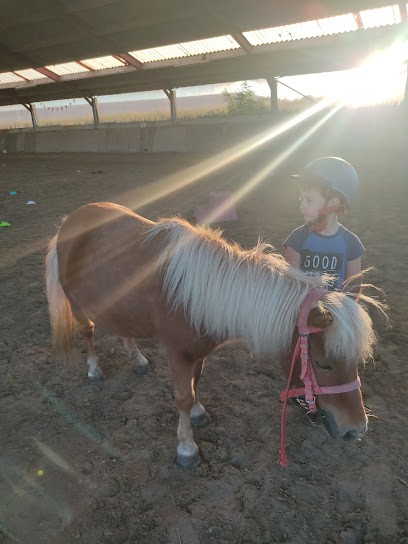 SCEA LES ECURIES DES MURIERS, Centre Equestres à Marquette-lez-Lille