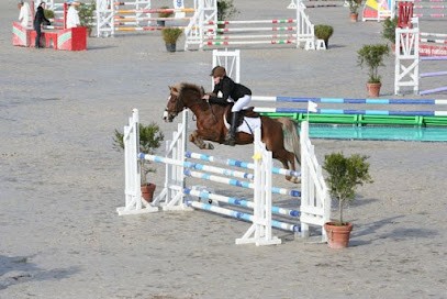 Ponies Under The Apple Trees, Centre Equestres à Saint-Lô