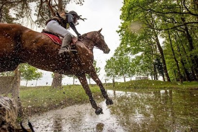Écurie Du Parc, Centre Equestres à Theix-Noyalo