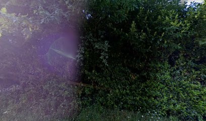 Centre de Remise en Forme du Morbihan, Pension pour Chevaux à Locoal-Mendon
