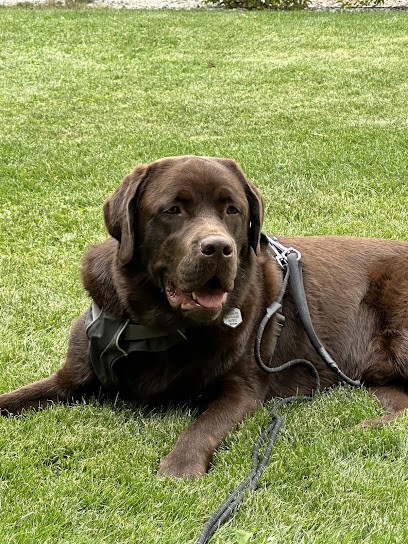 haras des ifs, Centre Equestres à Rives-en-Seine