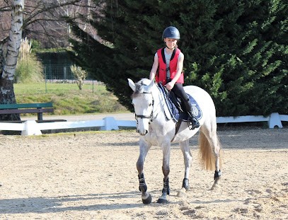 Élevage et Écurie de Marlière, Centre Equestres à Saint-André-en-Bresse