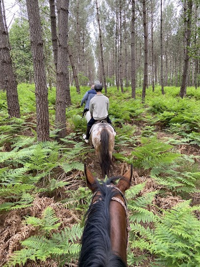 Haras De La Genièvre, Centre Equestres à Jarzé Villages