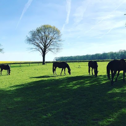 Au Pré Des Chevaux, Pension pour Chevaux à Flavacourt