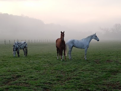 Ecurie des Andrettes, Pension pour Chevaux à Saint-André-en-Barrois