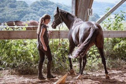 Ecurie De Lukuya, Centre Equestres à Souraïde