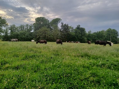 Pension chevaux Les Pres d'Eden, Pension pour Chevaux à Cézac