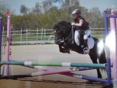 Equi-gym, Centre Equestres à Elne