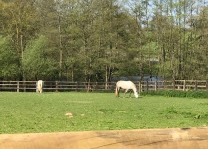 Poneys-Loisirs, Centre Equestres à Orgères