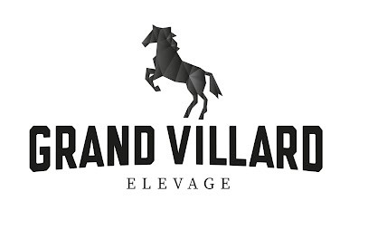 Livestock Du Grand Villard, Centre Equestres à Lescheroux