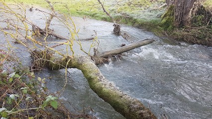 Les Amis De Cougny, Centre Equestres à Saint-Jean-aux-Amognes