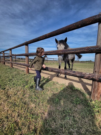 ECURIES D AXEL, Centre Equestres à Gasville-Oisème