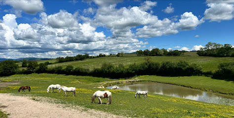 Écuries Des Rendarts, Centre Équestre à Dettey