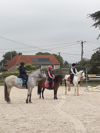 Les écuries de Ledquent, Centre Equestres à Marquise