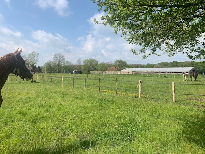 Ecurie Des Acacias, Pension pour Chevaux au Fay