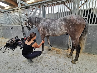 Haras du Lannoy, Centre Equestres à Ennevelin