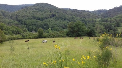 Natura Cheval Ariège, Centre Equestres à Montfa